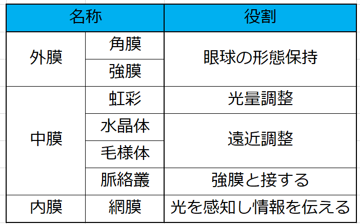 表にて眼球名称